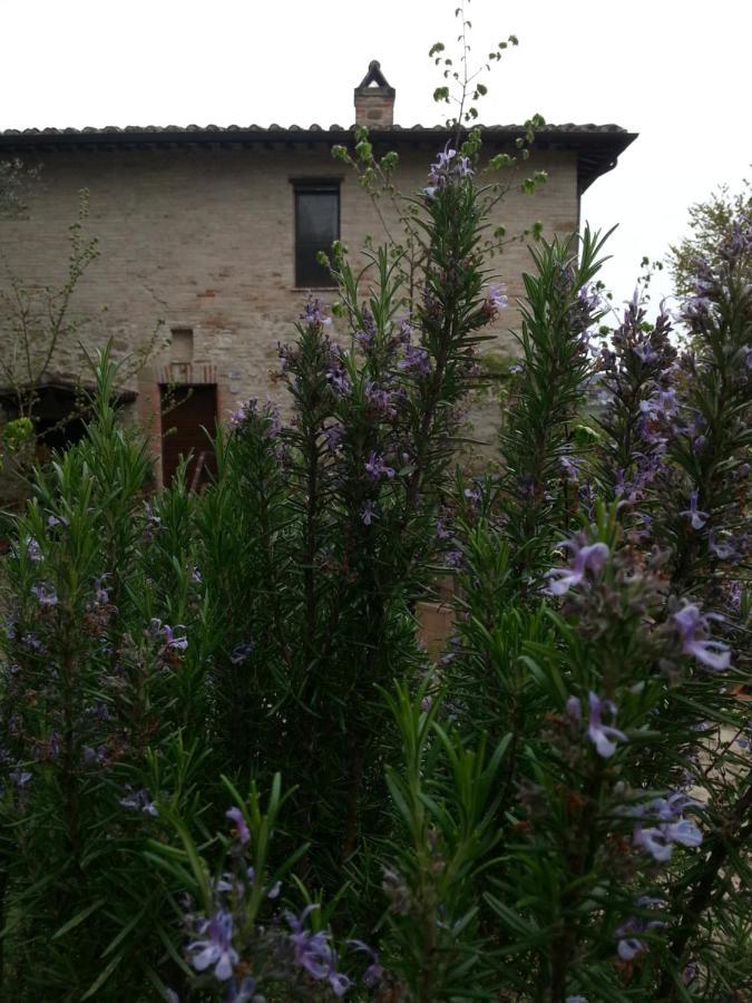 Agriturismo Il Poggio Degli Scoiattoli Perugia Exterior photo