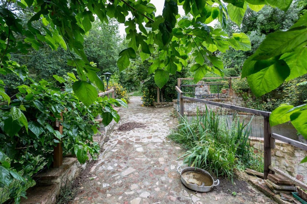 Agriturismo Il Poggio Degli Scoiattoli Perugia Exterior photo